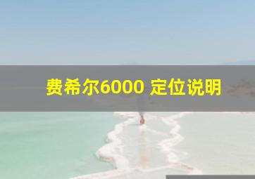 费希尔6000 定位说明